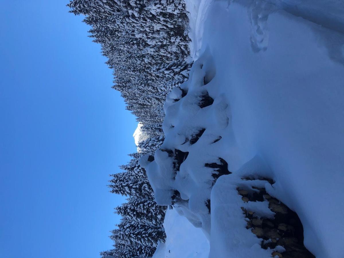 Alpapart - Innsbruck Ellbögen Buitenkant foto