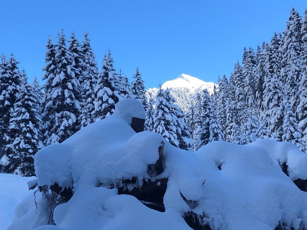 Alpapart - Innsbruck Ellbögen Buitenkant foto