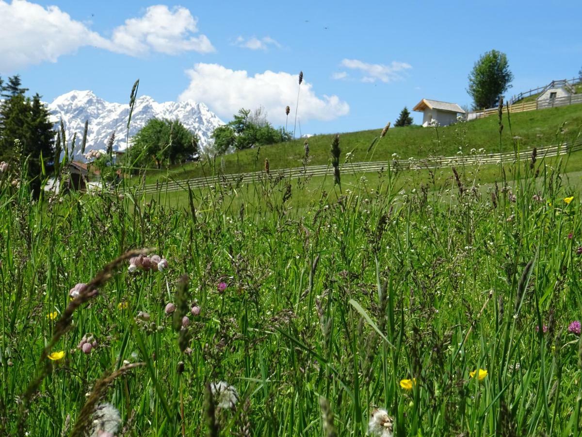 Alpapart - Innsbruck Ellbögen Buitenkant foto